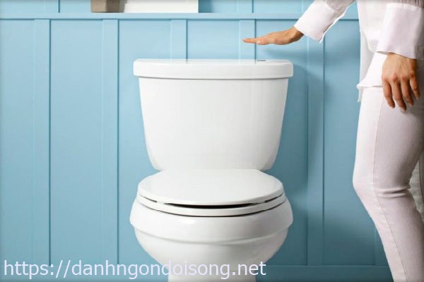 Bồn cầu bị rò rỉ nước
