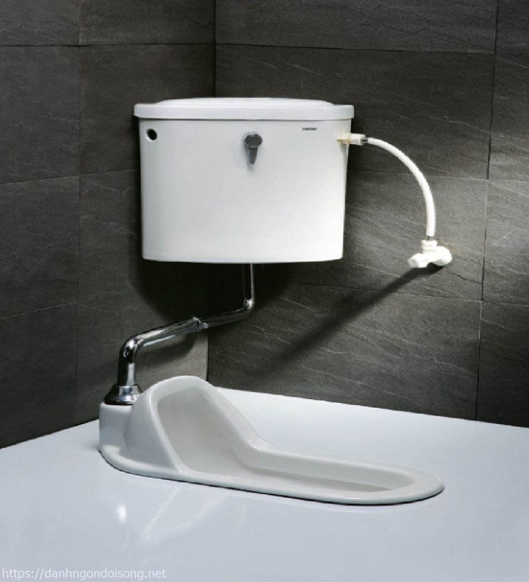 Bồn cầu vệ sinh dùng ngồi xổm