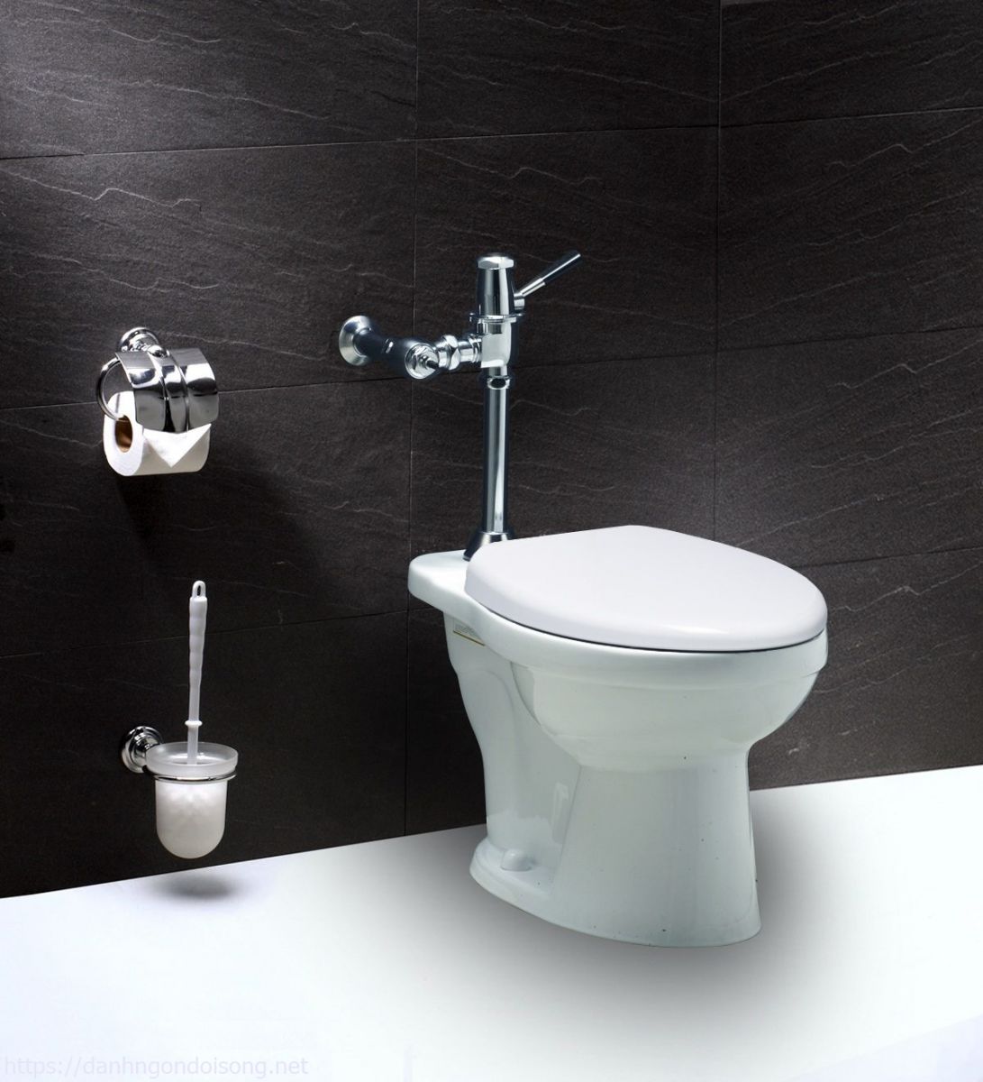 Bồn cầu vệ sinh Caesar
