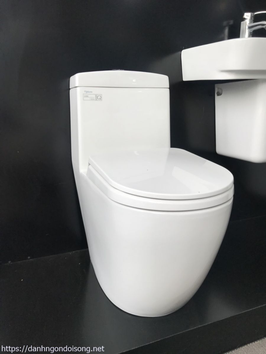 Bồn cầu vệ sinh Viglacera