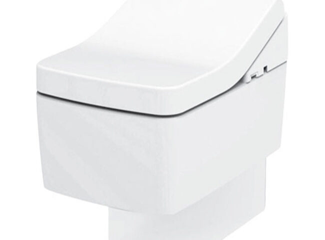 Bồn cầu Toto vẫn c&oacute; thể gặp phải một số vấn đề