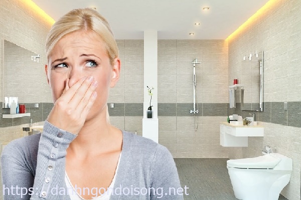 Hầm cầu bể phốt bị đầy gây mùi hôi tanh