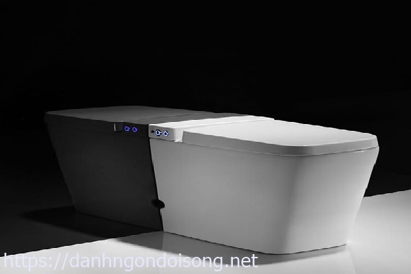 K&eacute;t nước bồn cầu kh&ocirc;ng c&oacute; nước