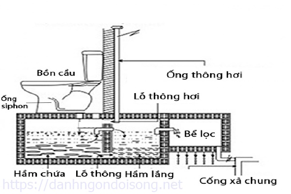 Ống th&ocirc;ng hơi bể phốt đặt ở đ&acirc;u