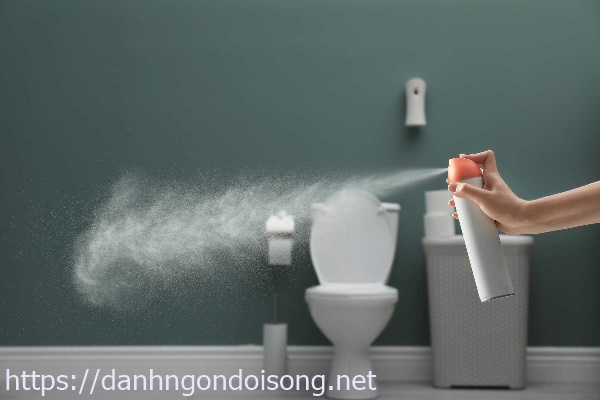 C&aacute;ch xử l&yacute; m&ugrave;i h&ocirc;i bể phốt