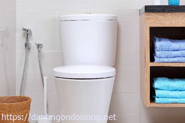 Ống th&ocirc;ng hơi bồn cầu gi&uacute;p k&eacute;o d&agrave;i tuổi thọ của ch&uacute;ng