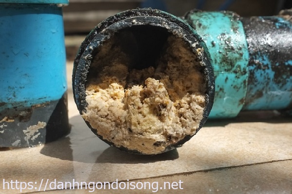 Nước th&ocirc;ng cống dễ g&acirc;y tắc nghẽn nặng trở lại