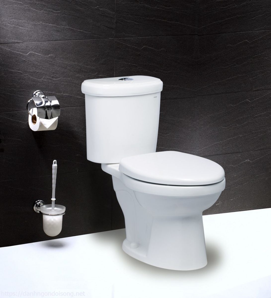 Vệ sinh bồn cầu thông minh
