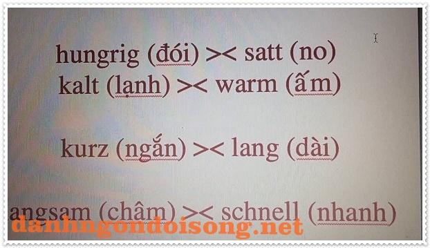 Học tiếng Đức