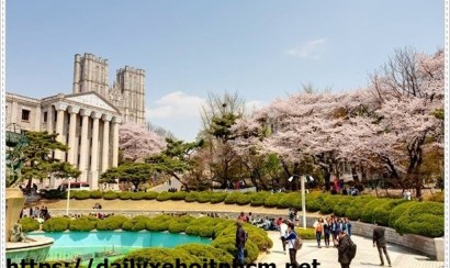 Những thông tin cần thiết cho du học sinh Hàn Quốc (Phần 1)