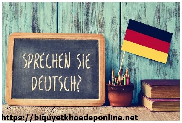 Trung t&acirc;m dạy học tiếng Đức HCM