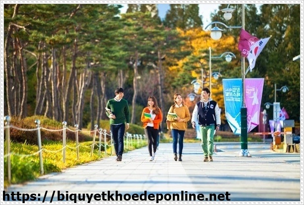 Du học H&agrave;n Quốc tại Busan chọn đại học Dong A H&agrave;n Quốc