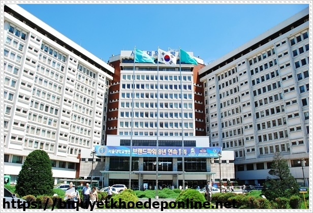 du học H&agrave;n Quốc tại Busan với đhqg Pusan