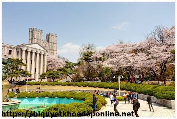 Du học H&agrave;n Quốc gi&aacute; rẻ