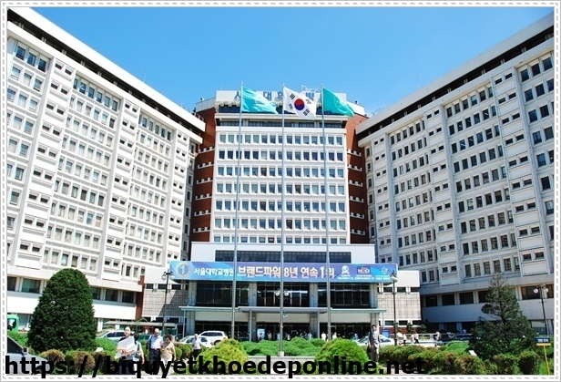 du học h&agrave;ng quốc ng&agrave;nh đầu bếp dễ \