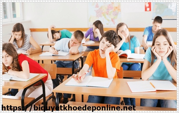 Lựa chọn c&aacute;c lớp học ph&ugrave; hợp khi du học T&acirc;y Ban Nha