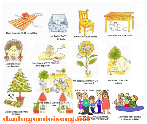 Học tiếng Ph&aacute;p bằng h&igrave;nh ảnh