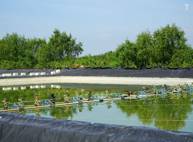 Xử l&yacute; nước thải c&oacute; độ mặn cao