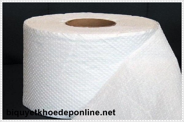 Bồn cầu bị nghẹt do tắc giấy vệ sinh