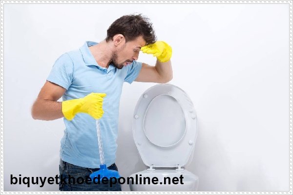 D&ugrave;ng pittong để gi&uacute;p cho bồn cầu kh&ocirc;ng bị nghẹt