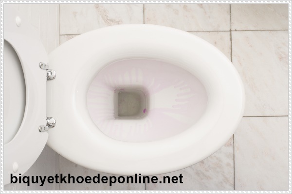 C&aacute;c biểu hiện nhận biết bồn cầu bị r&ograve; rỉ nước