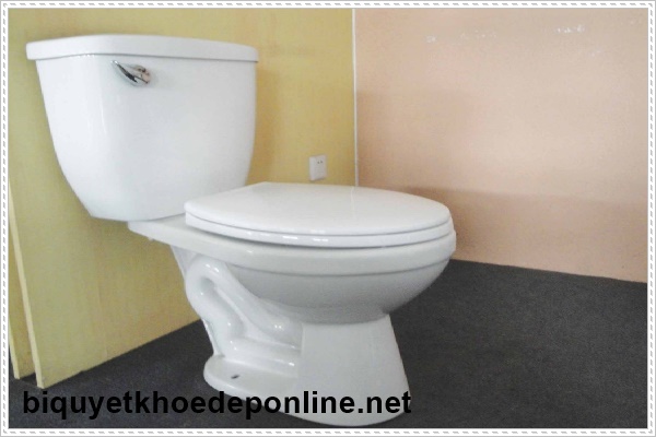 Bồn kh&ocirc;ng xả được nước do bị tắc dị vật cứng