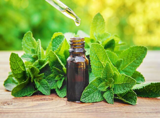 Khử mùi tủ quần áo với tinh dầu