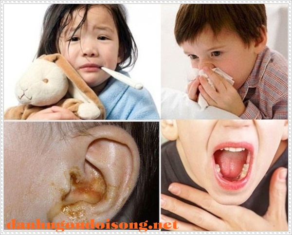 Bệnh l&yacute; về tai mũi họng