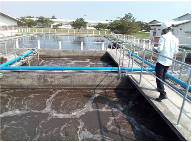 Hướng dẫn nu&ocirc;i b&ugrave;n vi sinh